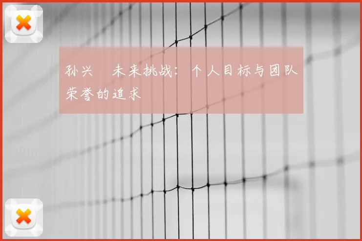 孙兴慜未来挑战：个人目标与团队荣誉的追求